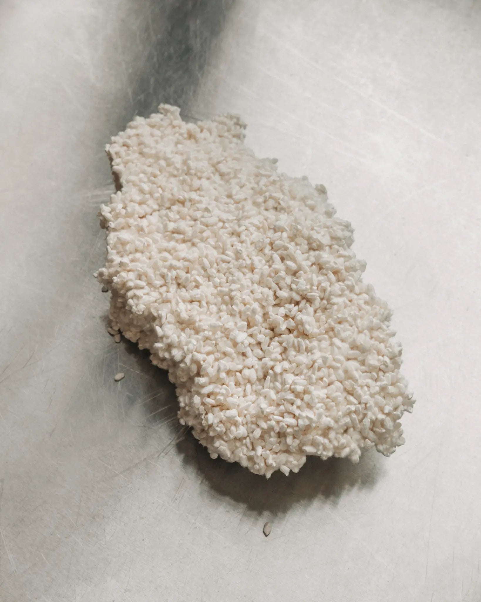 Fermentierter Koji-Reis auf Gastro-Tisch